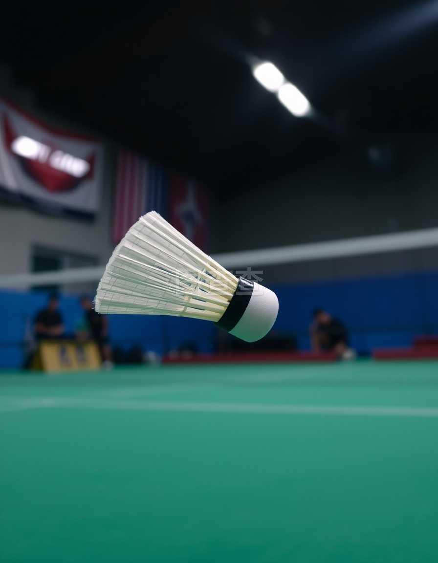 竞技项目 竞技项目