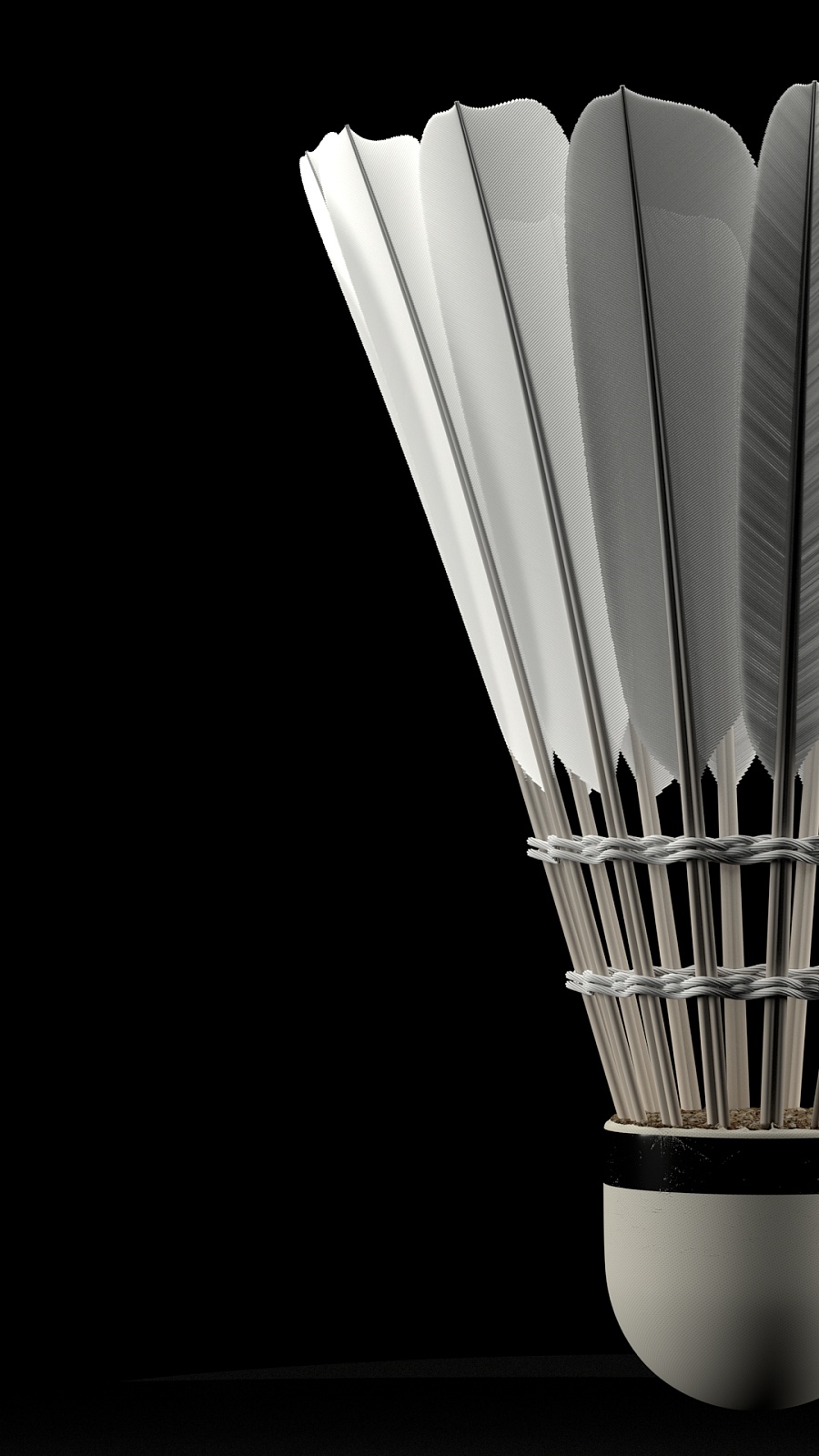 的风险因素 的风险因素