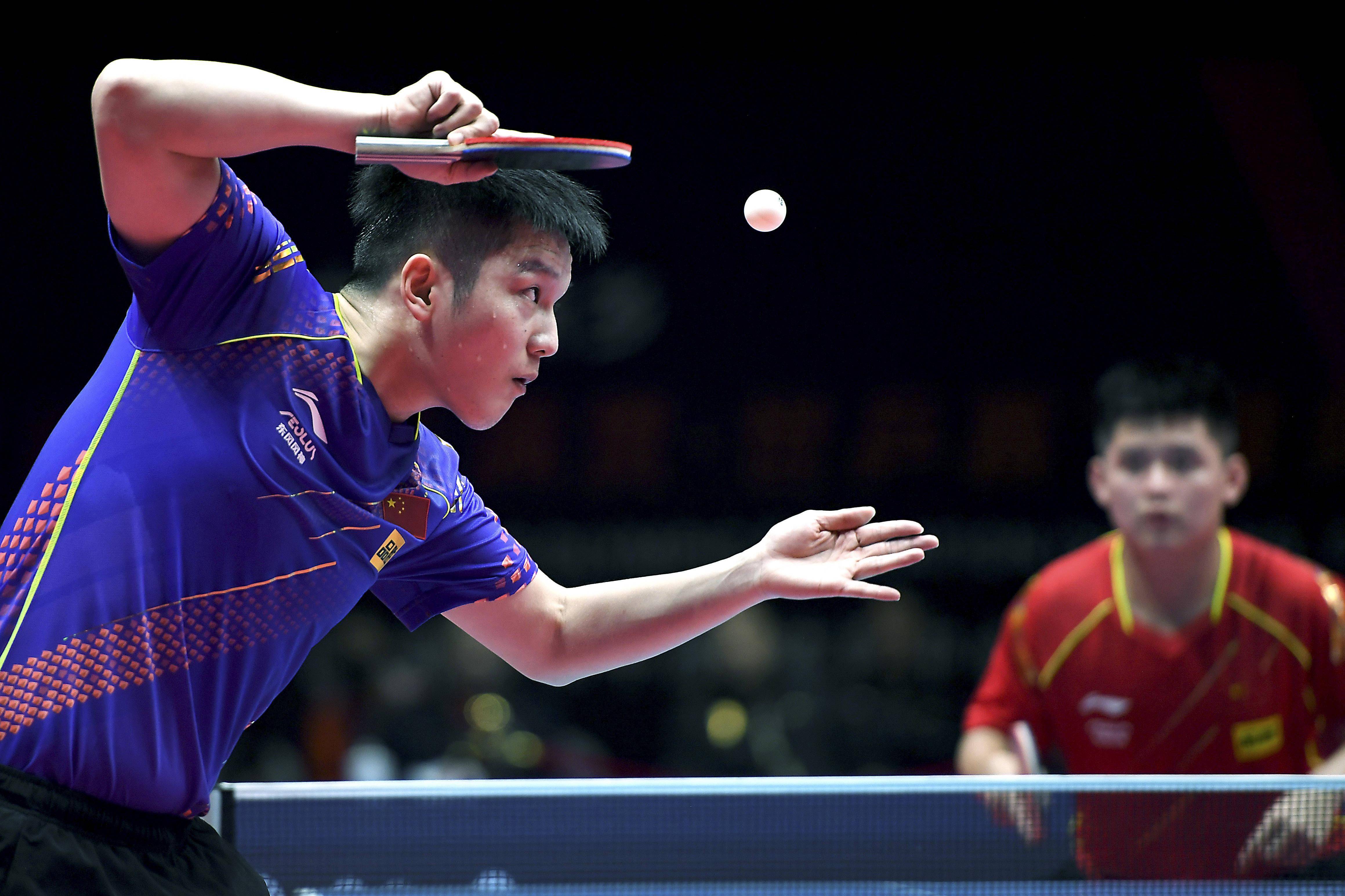 我在树后给 我在树后给